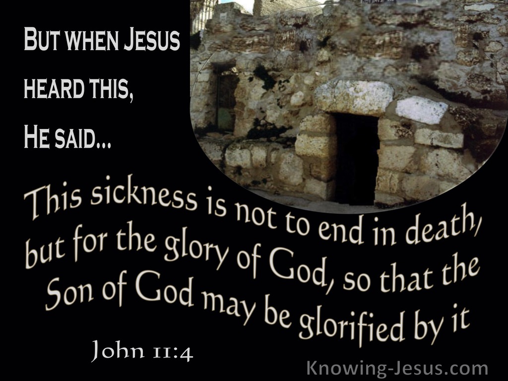 John 11:4 This Sickness Is Not To End In Death (brown)